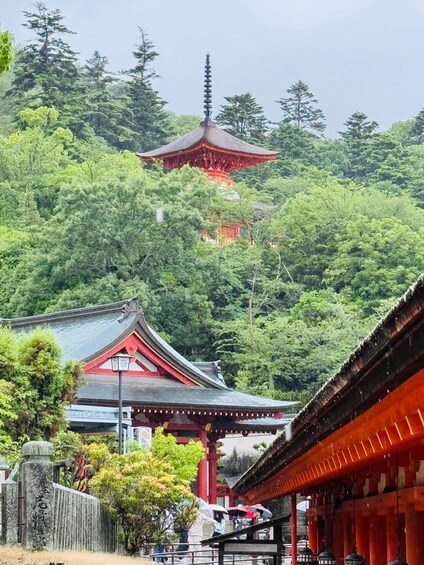 Un templo japonés tradicional con una pagoda roja, rodeado de exuberante vegetación. 4