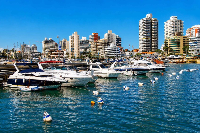 Picture 5 for Activity Exclusive Sightseeing Tour with a Local Guide: Discover the Best of Punta del Este 5