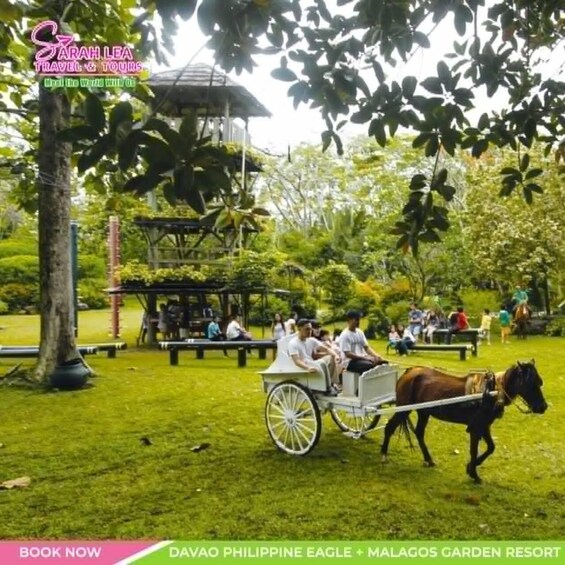A carriage ride through a lush garden with benches and visitors. 2