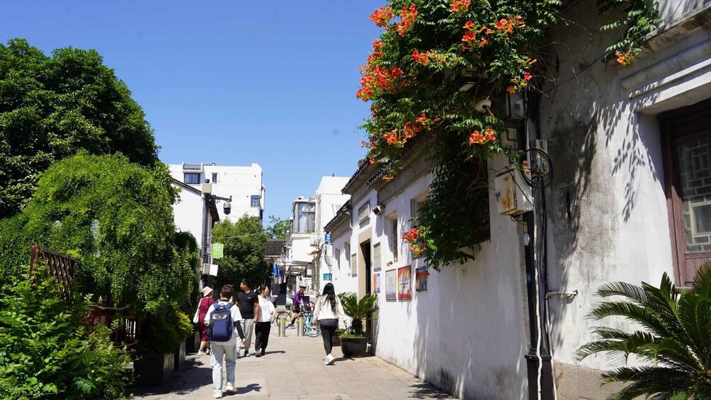 A narrow urban street lined with trees and buildings, pedestrians walking, and a cyclist in the distance. 4