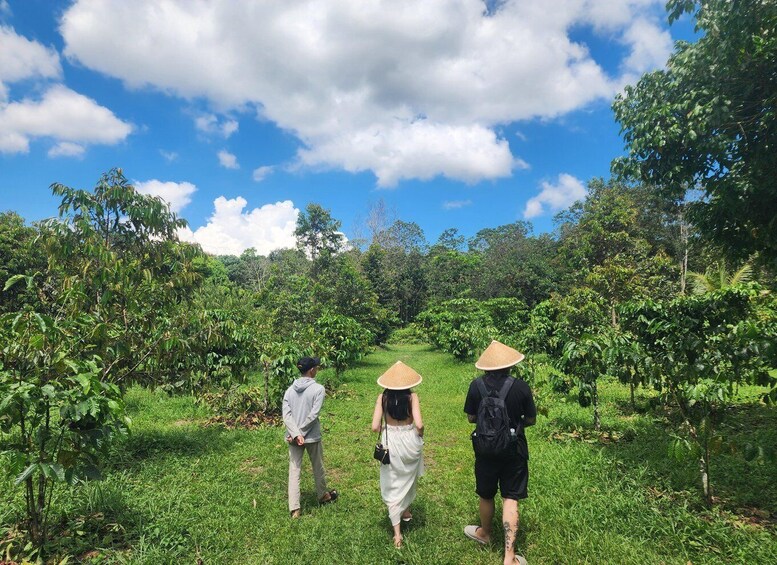 Three people walking through a lush green tea plantation with a clear blue sky above. 1
