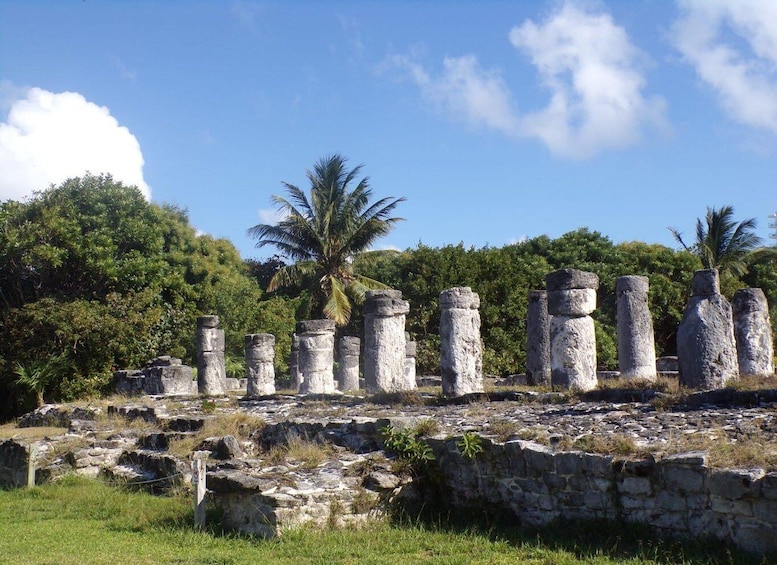 Ancient stone ruins with columns, surrounded by lush greenery and palm trees. 4