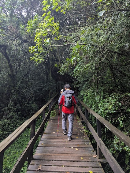 A person hiking on a wooden bridge surrounded by dense forest. 2