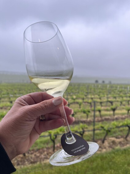 A hand holding a wine glass with a label reading 'Malagouçia' against a vineyard backdrop. 1