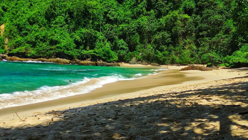A beach with turquoise water, sandy shore, and dense green forest in the background. 5