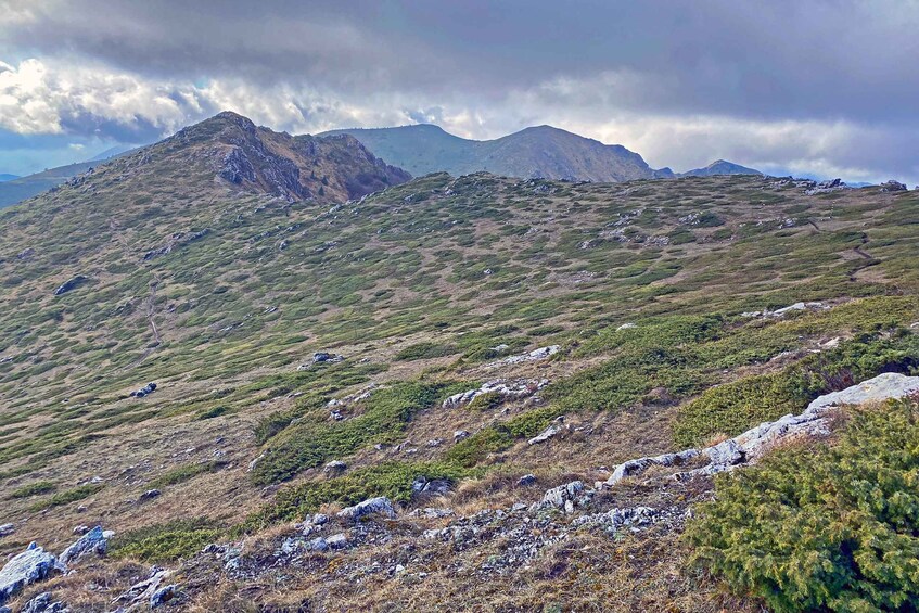 Picture 4 for Activity Day Hike in Kozya Stena Reserve, Central Balkan NP 2