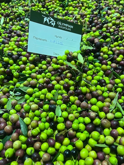 A table of green and purple olives with a label in front. 4