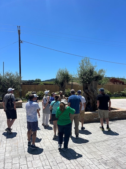 A group of people walking on a paved path in a sunny outdoor setting. 2