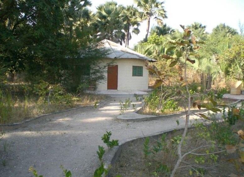 A small white house with a brown door, surrounded by trees and a gravel path. 4