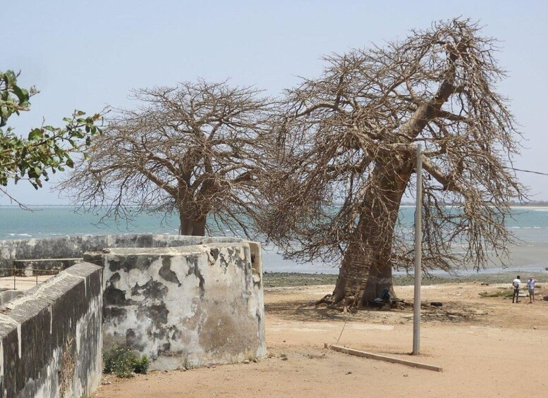 A coastal area with two leafless trees, a concrete wall, and a metal pole. 3