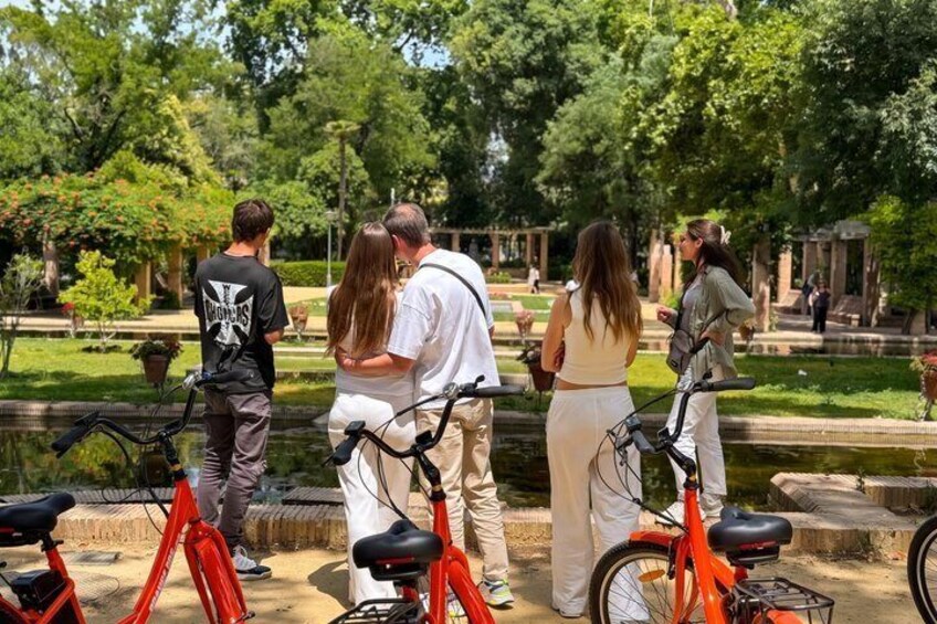 Seville Highlights Bike and E Bike Tour with Local Guide 5