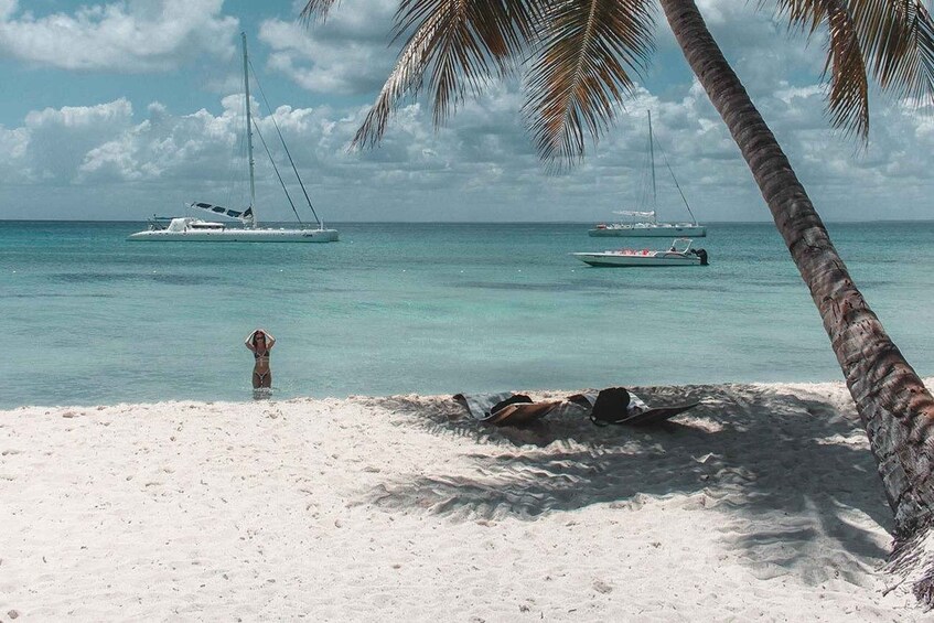 A beach with a person sunbathing, palm trees, and sailboats on the water. 3