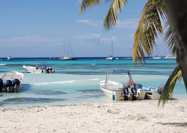 A beach with several boats anchored in shallow water, palm trees, and a clear blue sky. 1