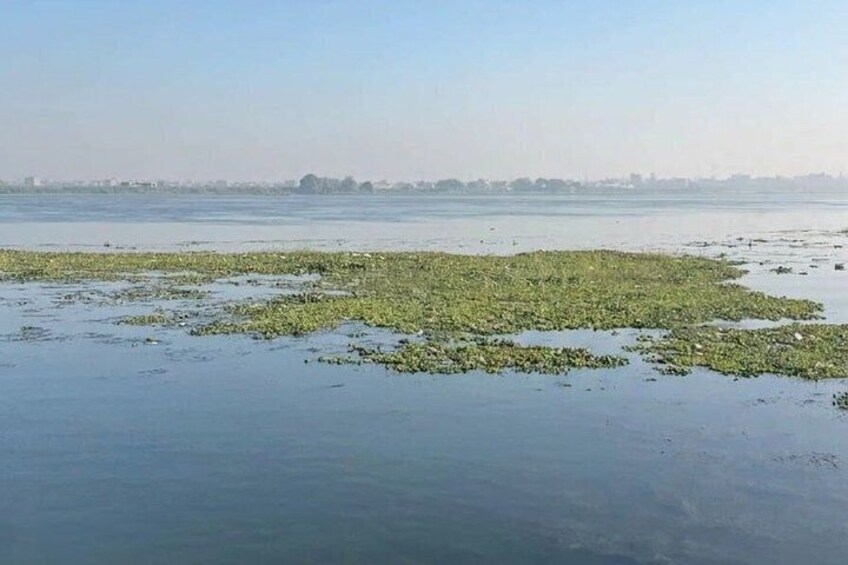 A calm body of water with floating vegetation and a distant city skyline. 4