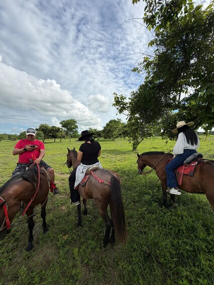 Three people riding horses in a grassy field with trees in the background. 5