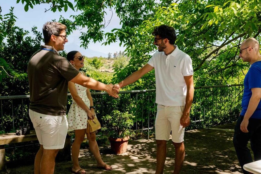 A group of people outdoors, shaking hands under a tree. 3