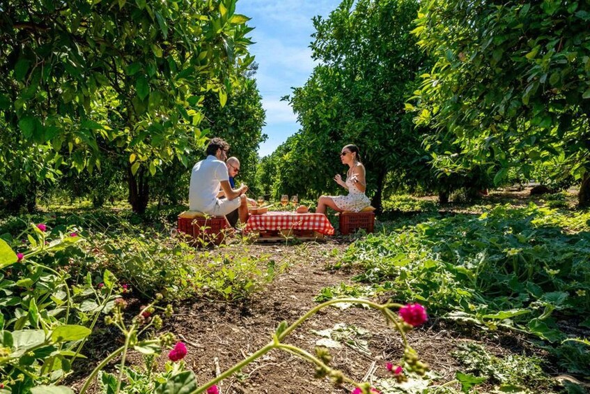 A couple picnicking in a lush garden with a red and white checkered tablecloth. 5