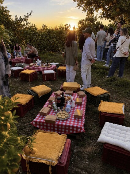 A group of people gathered around checkered picnic tables outdoors with food and drinks. 3