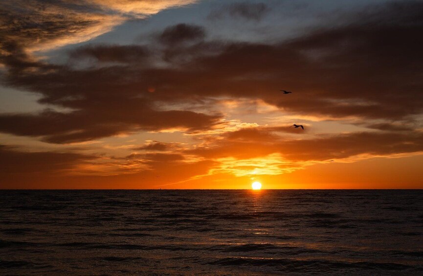 A sunset over the ocean with clouds and birds. 5