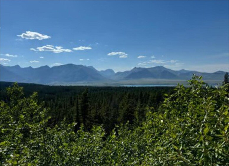 A mountainous landscape with a dense forest in the foreground and a clear blue sky. 3