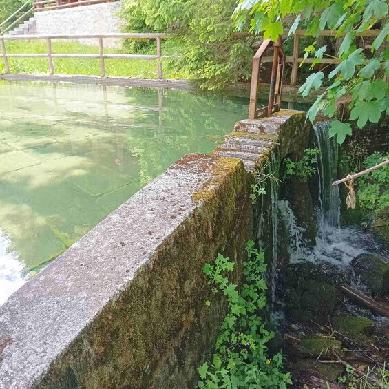 A stone wall with a small waterfall, surrounded by greenery and a wooden bridge. 5