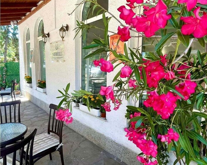 A building with a sign reading 'NEROLI,' outdoor seating, and vibrant pink flowers. 1