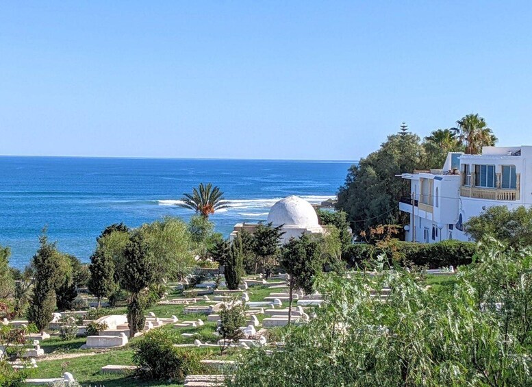 A coastal cemetery with white domes, palm trees, and a clear blue sky. 3