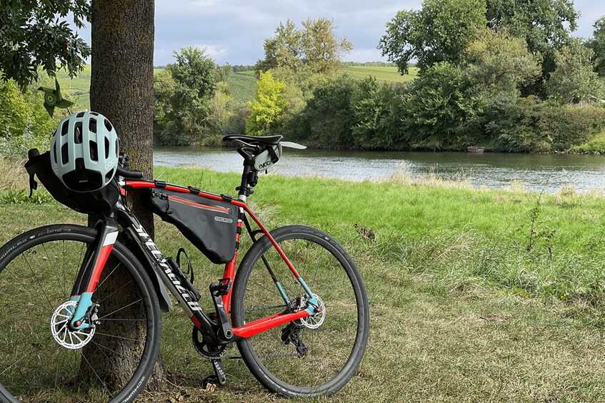 A red bicycle with a black saddle and a helmet leaning against a tree by a river. 5