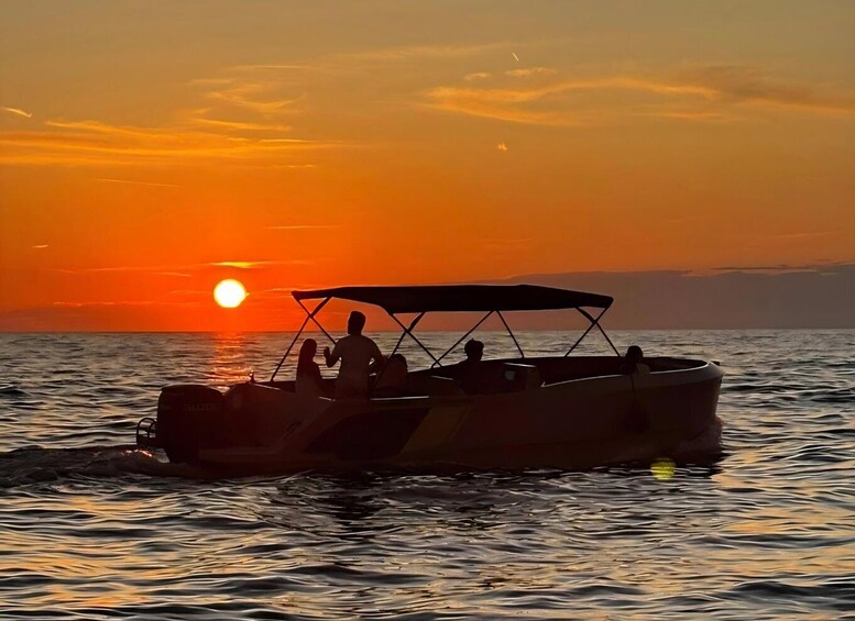 Rovinj: Dolphin Watching Sunset Cruise with Old Town Views 1