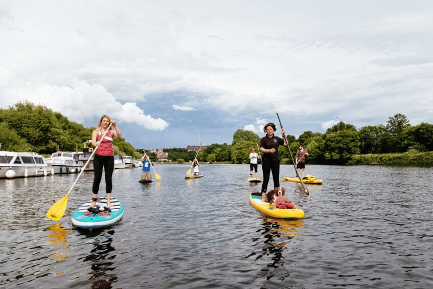 London: Sunset Stand-Up Paddleboarding with Instructor 1