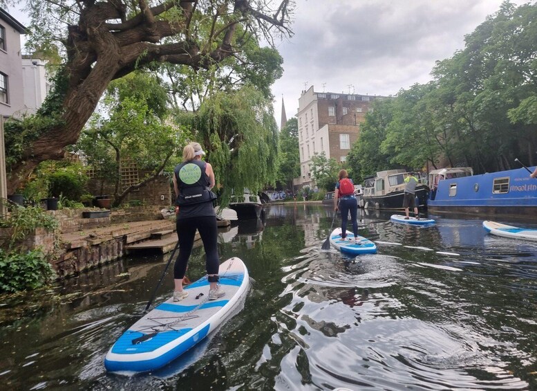 Picture 2 for Activity London: Sunset Stand-Up Paddleboarding with Instructor 2