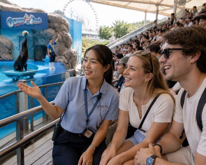 An audience at a marine park with a sea lion performance. 2