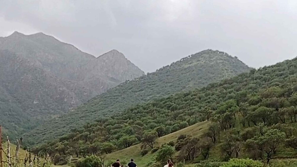 A hilly landscape with dense vegetation and a few people walking. 5