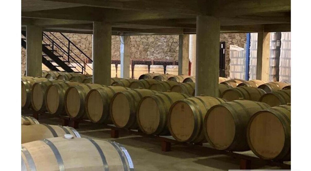 Rows of wooden wine barrels in a cellar with stone walls and a staircase. 5