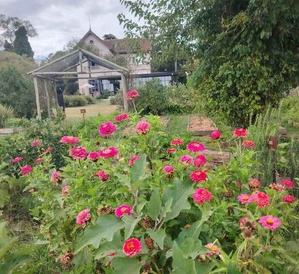 A garden with pink flowers, a wooden gazebo, and a house in the background. 5