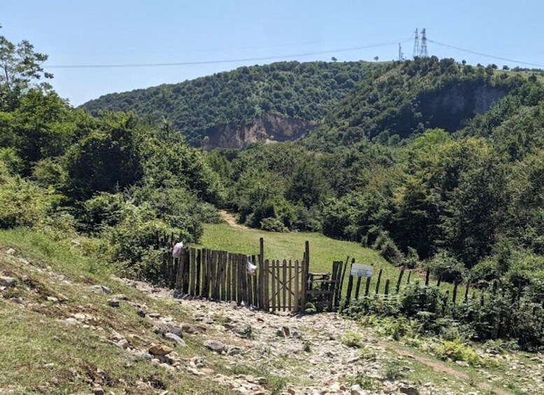 A rural landscape with a dirt path, a wooden fence, and a hill with dense vegetation. 5
