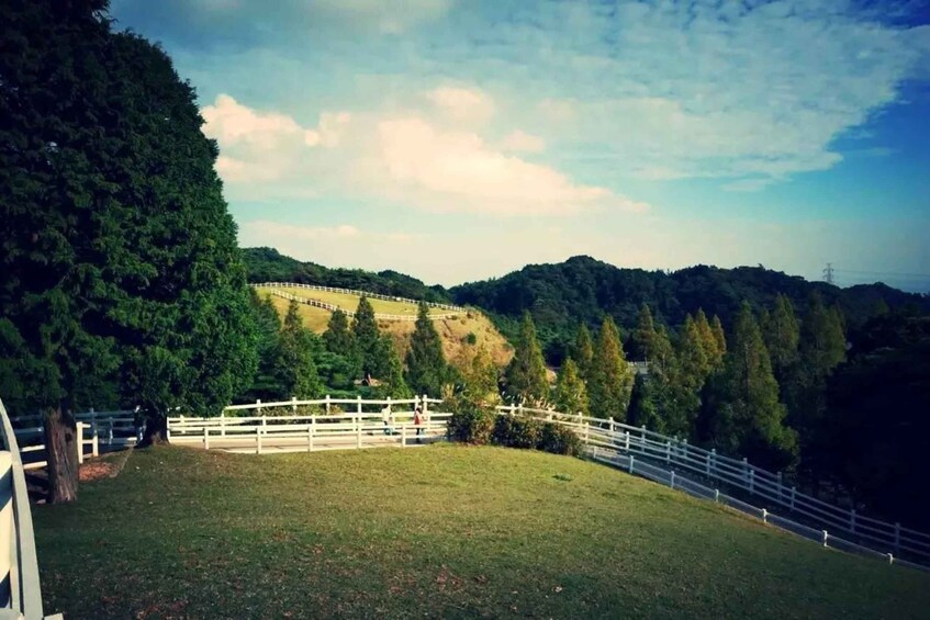 A fenced grassy area with a view of a hill and trees. 5