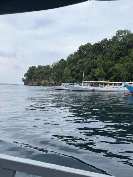 Picture 26 for Activity Private: 3D/2N Lombok Sumbawa whaleshark and moyo Tour 5