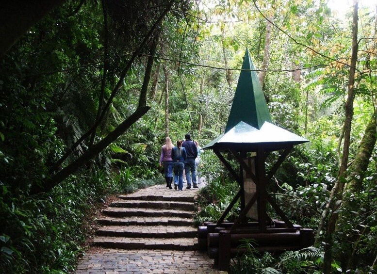 A stone staircase leading through a dense forest towards a green-roofed pavilion. 3