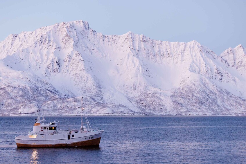 A boat named F-28-BD on a calm body of water with snow-covered mountains in the background. 5
