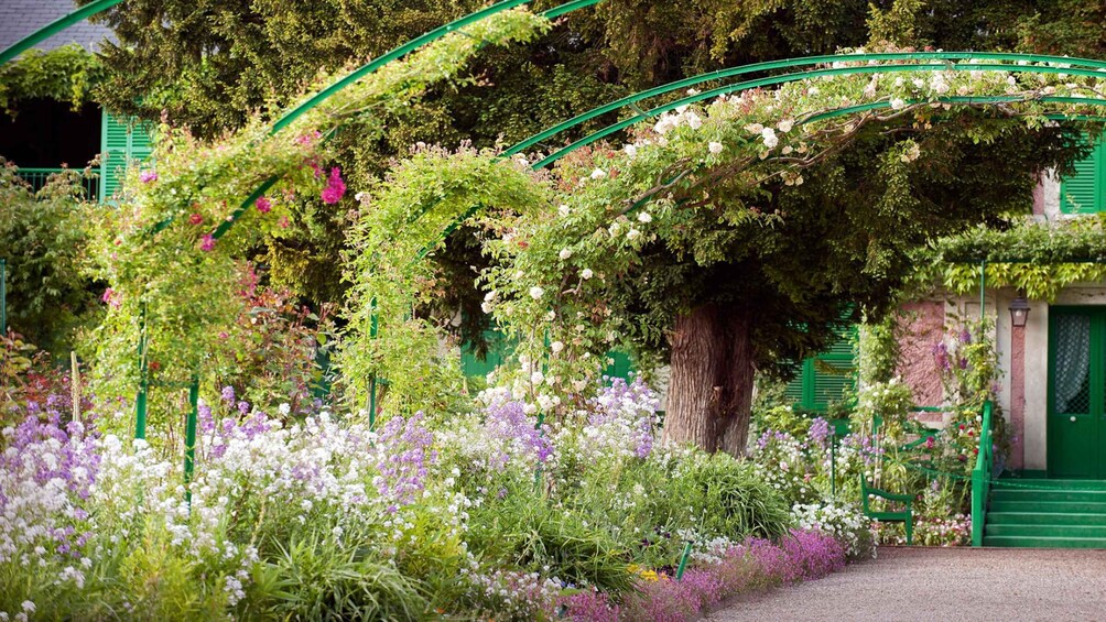 A garden with a green archway, flowering plants, and a tree. 2