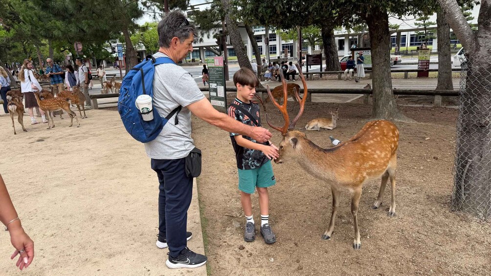 Picture 5 for Activity Nara in Spanish: Half-Day Small Group Sightseeing Tour or Private Tour 3
