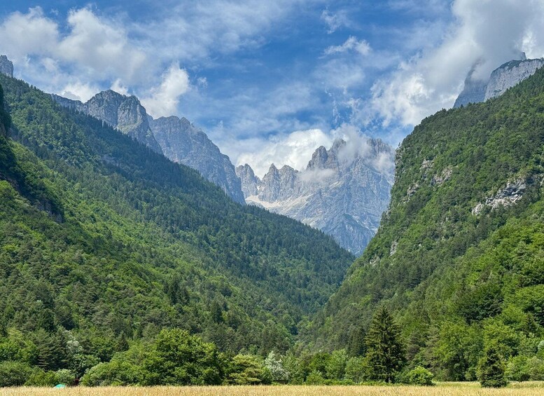 A mountainous landscape with dense forests and a clear sky. 2