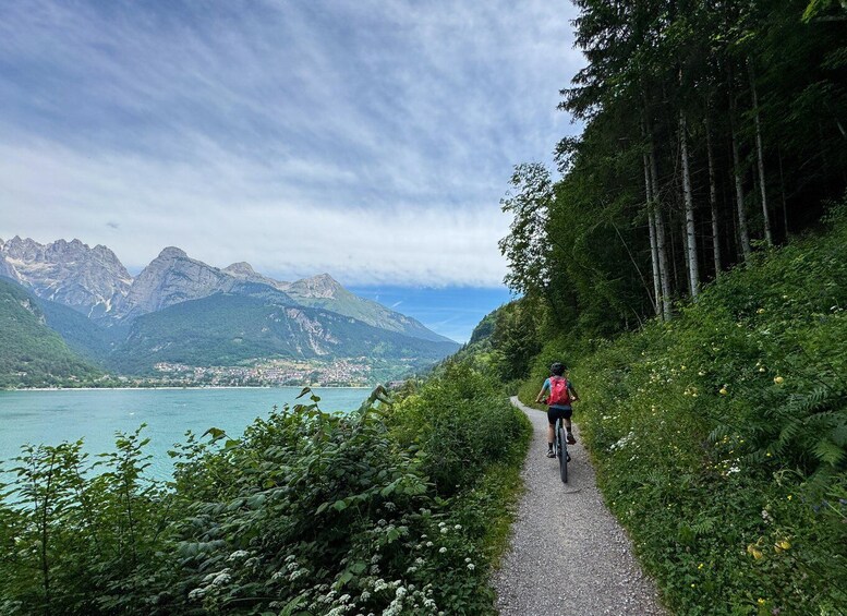 Picture 2 for Activity Molveno: 3 Lakes E-Bike Tour in the Brenta Dolomites 5