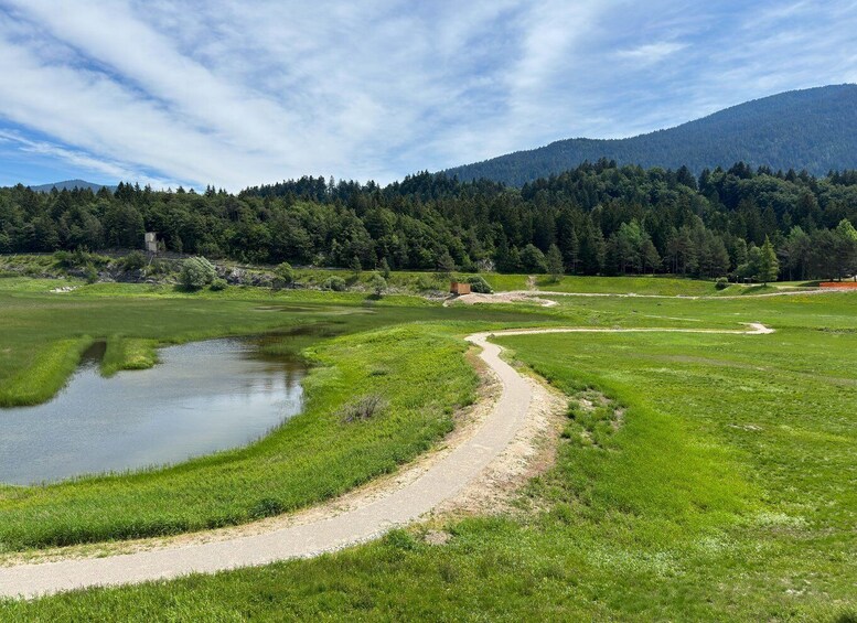 Picture 5 for Activity Molveno: 3 Lakes E-Bike Tour in the Brenta Dolomites 3