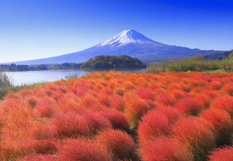 A snow-capped mountain, a lake, and red foliage. 4