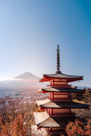 From Tokyo: Mt. Fuji & Lake Kawaguchi Iconic Photo Spots 1