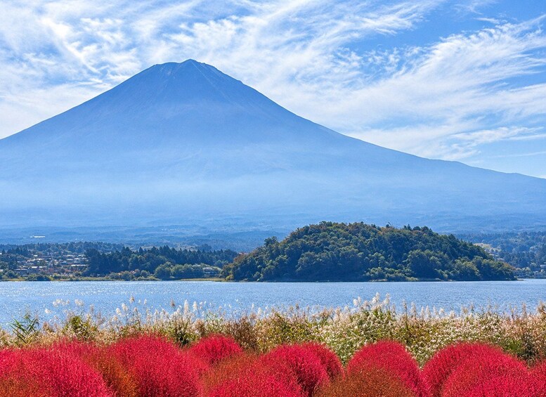 Picture 8 for Activity From Tokyo: Mt. Fuji & Lake Kawaguchi 6 Iconic Photo Spots 2