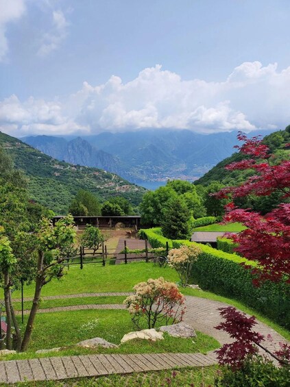Lake Iseo: Typical Bergamo lunch with panoramic terrace in Parzanica 1
