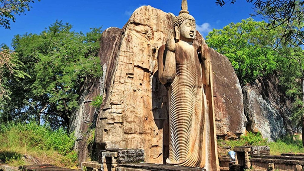 A large stone Buddha statue in a natural setting with trees and rocky cliffs. 2